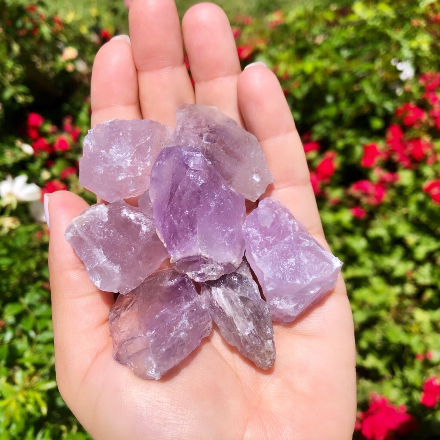 Reiki infused Amethyst 1”